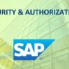 SAP Security Training | It & Software Network & Security Online Course by Udemy