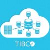 TIBCO ActiveMatrix BPM 3.x Essentials | Office Productivity Other Office Productivity Online Course by Udemy