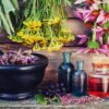 Introduction to Herbalism | Health & Fitness Nutrition Online Course by Udemy