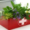 Herbalism: : Essential First Aid Remedies [Certificate] | Health & Fitness Safety & First Aid Online Course by Udemy