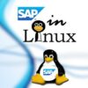 SAP - Installing and Configuring SAP in Linux | Office Productivity Sap Online Course by Udemy