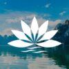 Curso de Meditacin Mindfulness - 8 semanas | Health & Fitness Meditation Online Course by Udemy