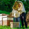 Beekeeping 101: Organic