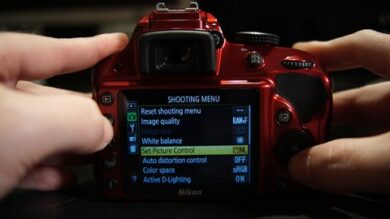 The Unofficial Guide to the Nikon D3200 & D3300 | Photography & Video Photography Tools Online Course by Udemy
