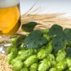 Cerveja Artesanal | Lifestyle Food & Beverage Online Course by Udemy
