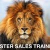 Master Sales Training | Business Sales Online Course by Udemy