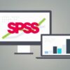 Statistics/Data Analysis with SPSS: Descriptive Statistics | Business Business Analytics & Intelligence Online Course by Udemy