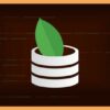 Mongo DB: All About MongoDB | Development Database Design & Development Online Course by Udemy