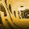 Curso de Adobe Bridge CC para Fotgrafos | Photography & Video Photography Tools Online Course by Udemy