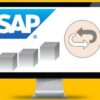 SAP DeepDive - Return SD Order using SAP Best Practice | Office Productivity Sap Online Course by Udemy