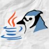Java y BlueJ Introduccin a las Bases de la Programacin | Development Programming Languages Online Course by Udemy