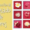 Introduccin al modelado de flores | Lifestyle Arts & Crafts Online Course by Udemy