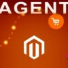 Open your first Shop Step by step MAGENTO 2 Free Edition '21 | Business E-Commerce Online Course by Udemy