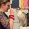 Crashkurs Katzenerziehung | Lifestyle Pet Care & Training Online Course by Udemy